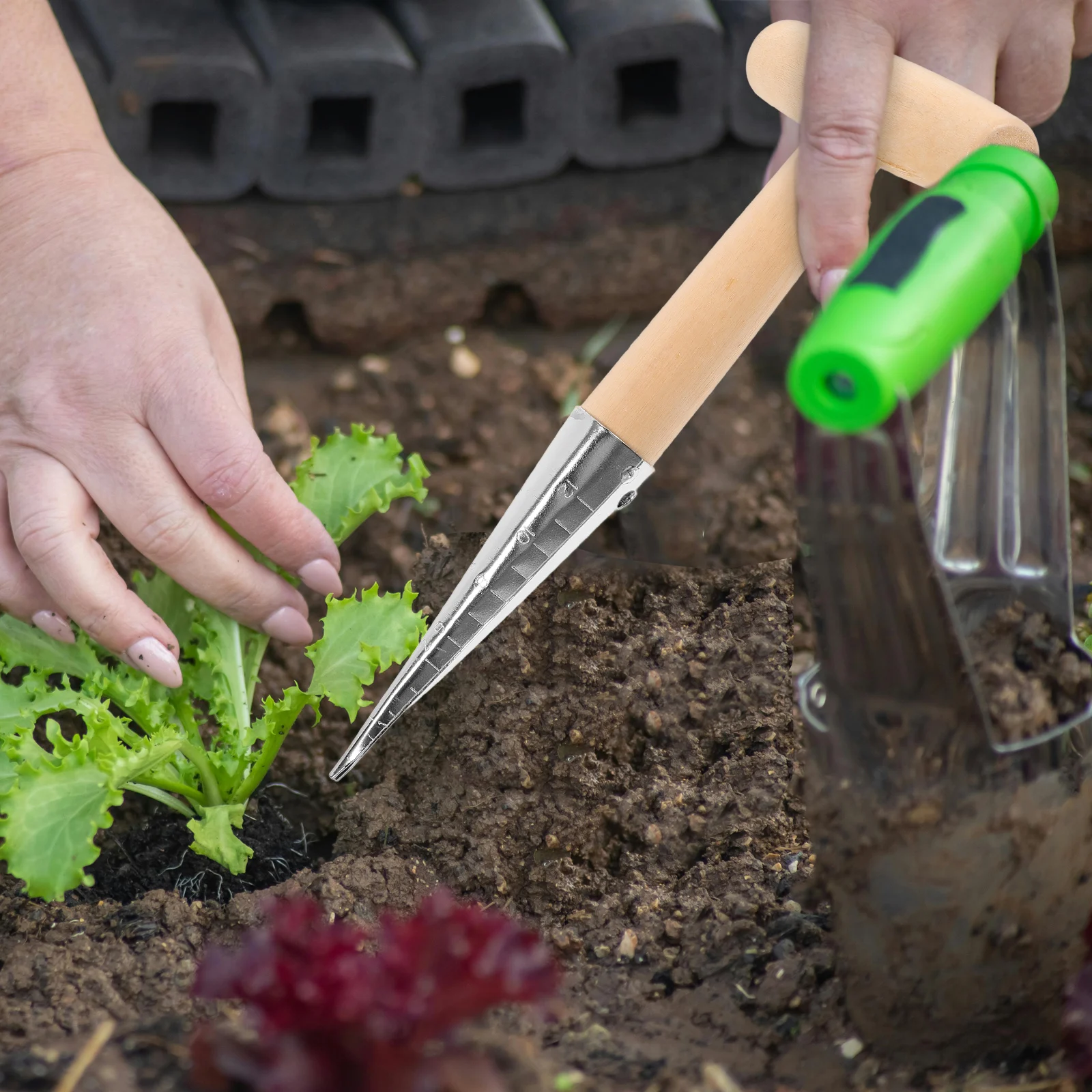 

Planting Dibber Tool T-Handle Soil Digger For Succulents Vegetables Garden Hole Puncher Portable Hand Planter Dibbler Gardening