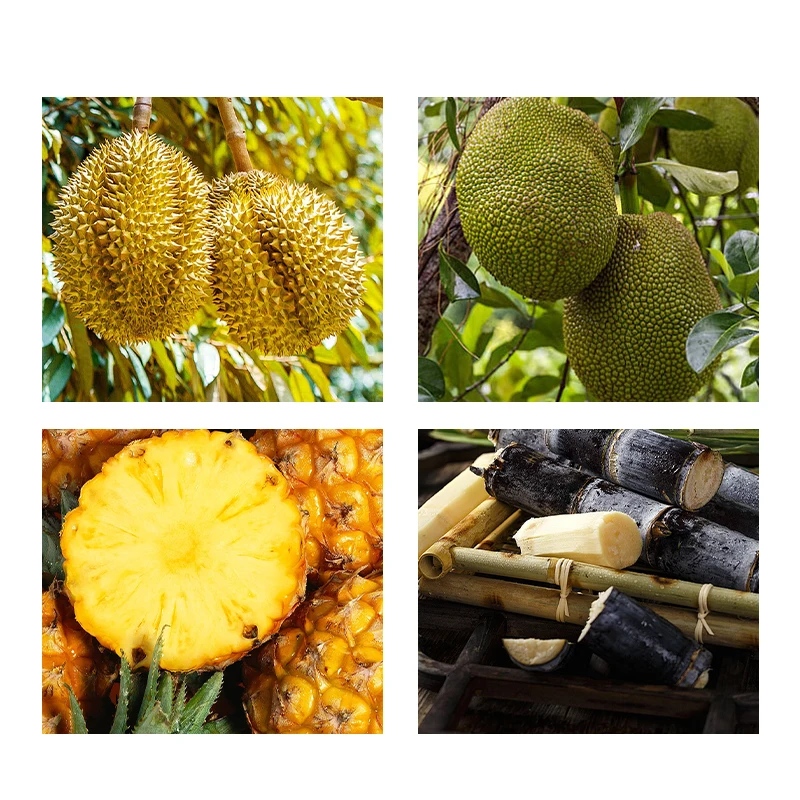 Durian opener durian opener durian special tool pineapple fruit small machete starch sausage machete FX9195