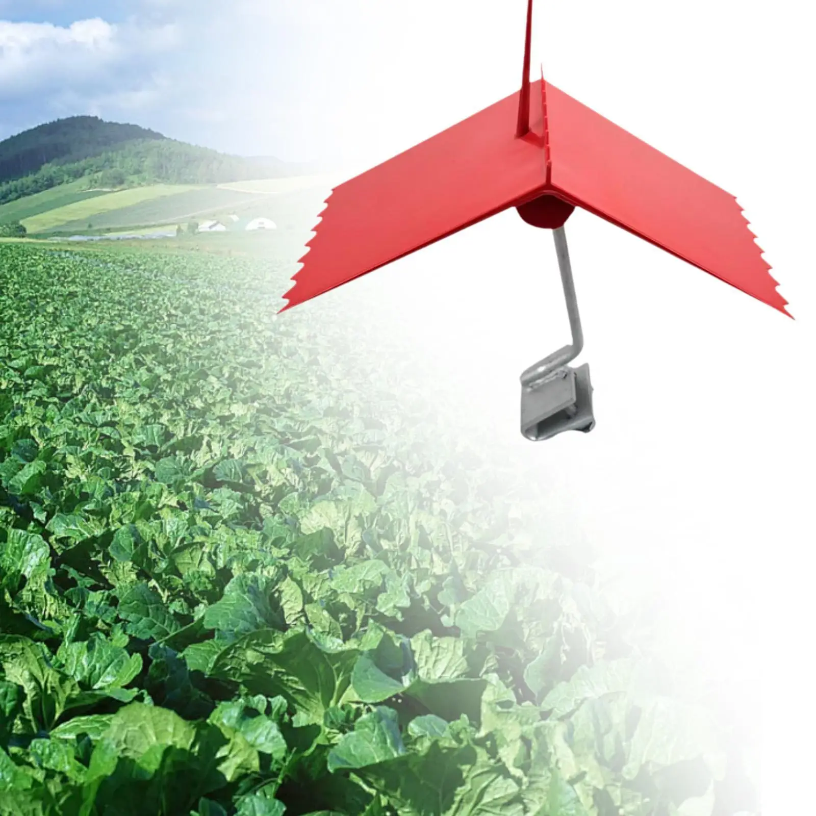 Kuş Kovucu Açık Veranda Ev Arka Bahçe Kuş Caydırıcı Kuş Kovucu Yansıtıcı Bahçeler için Sebze Meyve Bahçeleri Tekneler Tarım Arazileri