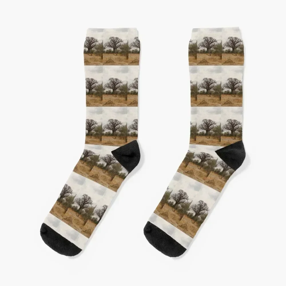 Africa, Tanzania, trees, baobab, baobab, photography, BebiCervin Socks Men's Rugby winter thermal hiking Socks Ladies Men's
