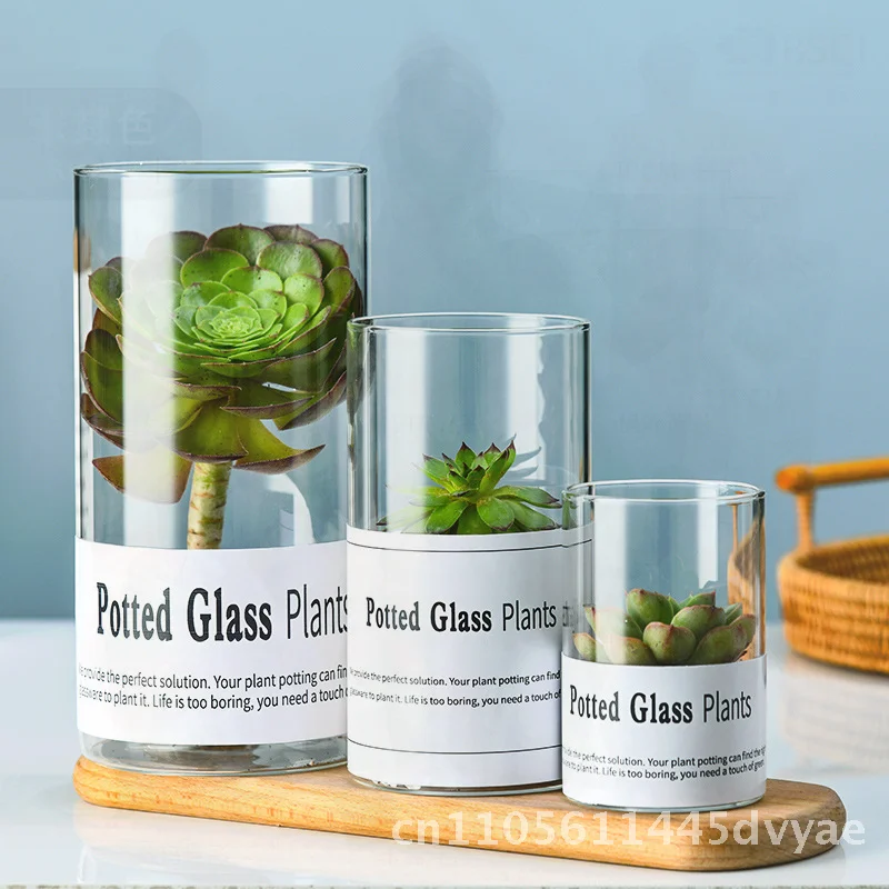 

Мини-прямой стеклянный цветочный горшок в скандинавском европейском стиле, боросиликатная гидропонная ваза в горшке, прозрачные маленькие горшки для дома