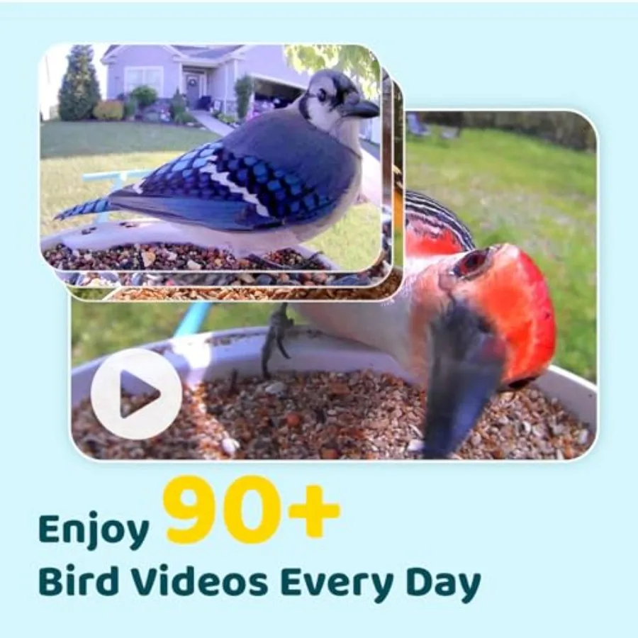 description