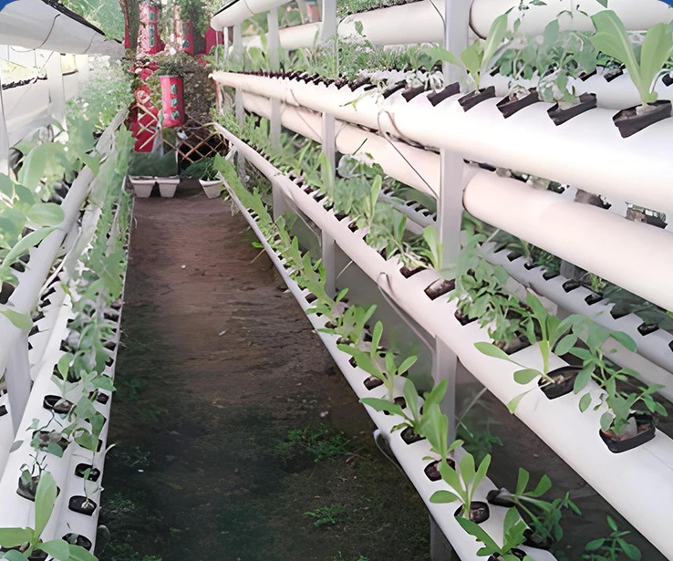 Hydroponic rack vertical pipeline hydroponic equipment factory leafy vegetable greenhouse planting vegetables soilless