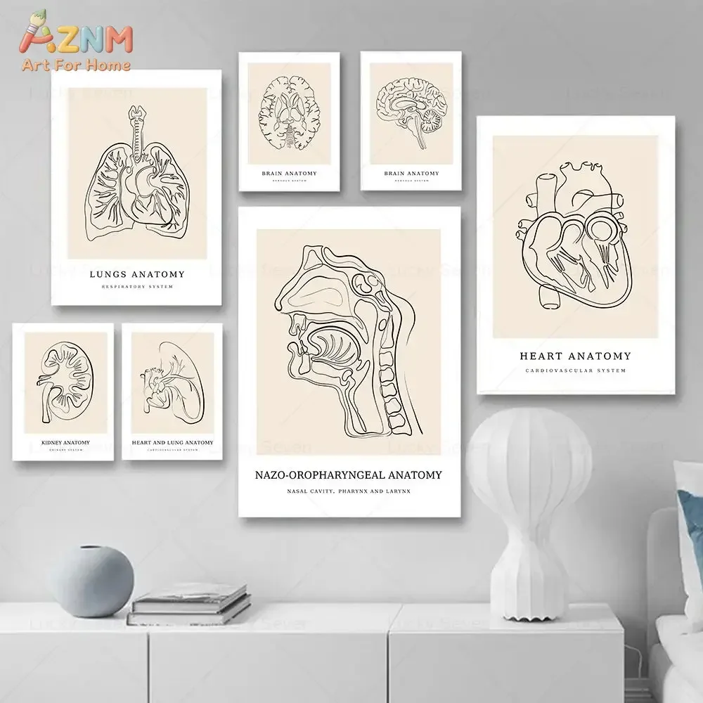 AZNM Human Anatomy Line Art Canvas Wall Art, Frameless Canvas Print Heart Lung Brain Kidney Medical Sketch Minimalist Organ Post