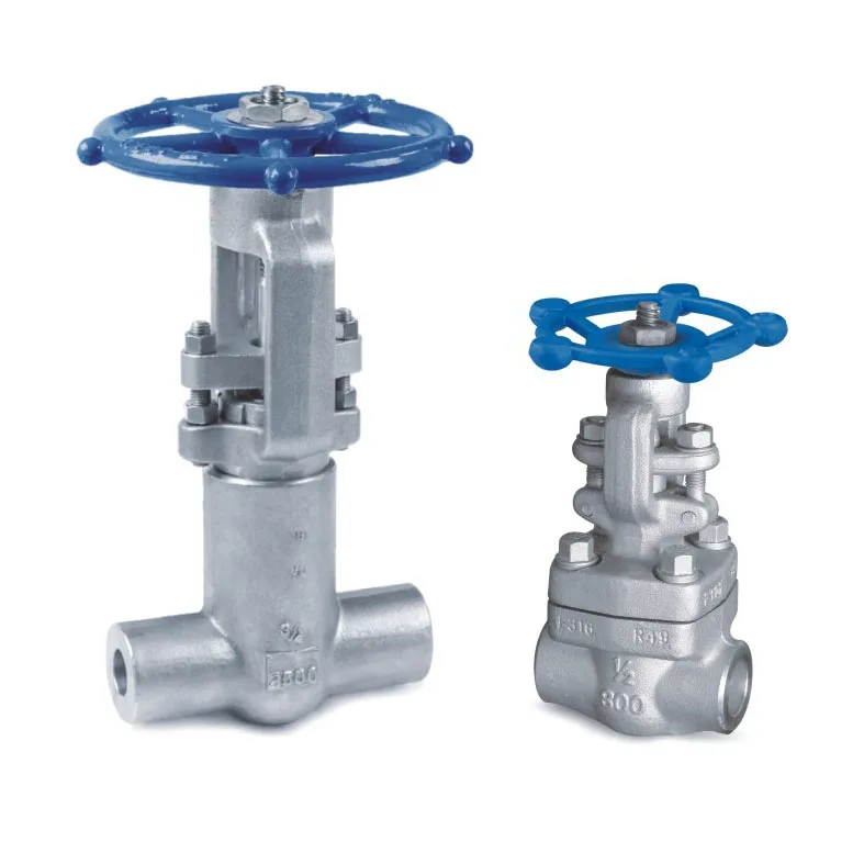 China Supplier High Quality Stainless Steel Needle Valve High Pressure Ss316 Oil High Temperature 2-Way Customizable Manual