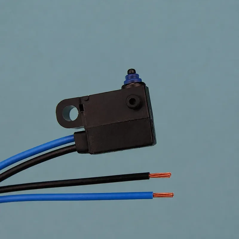 D2HW-C203MR Omron Sealed Normally Open Micro Switch 2 Two-Wire Waterproof Oil Dust Side Outlet
