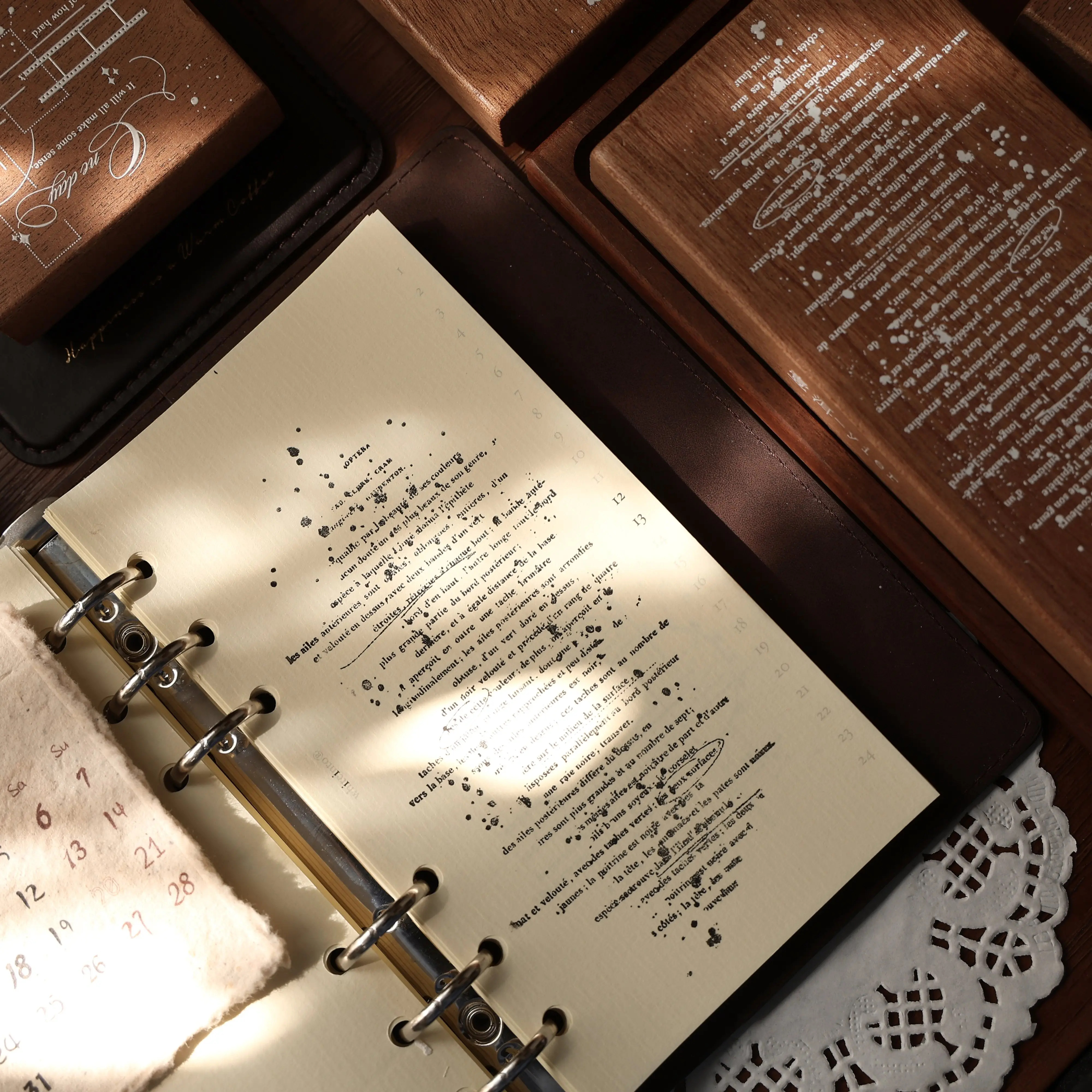 Thumbnail 3 - #13 New Studio Backgrounds Arrivals