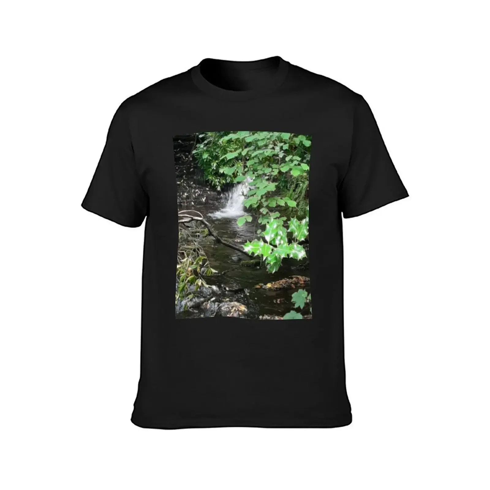 Smaller waterfall and river T-Shirt heavyweights anime clothes T-shirt men