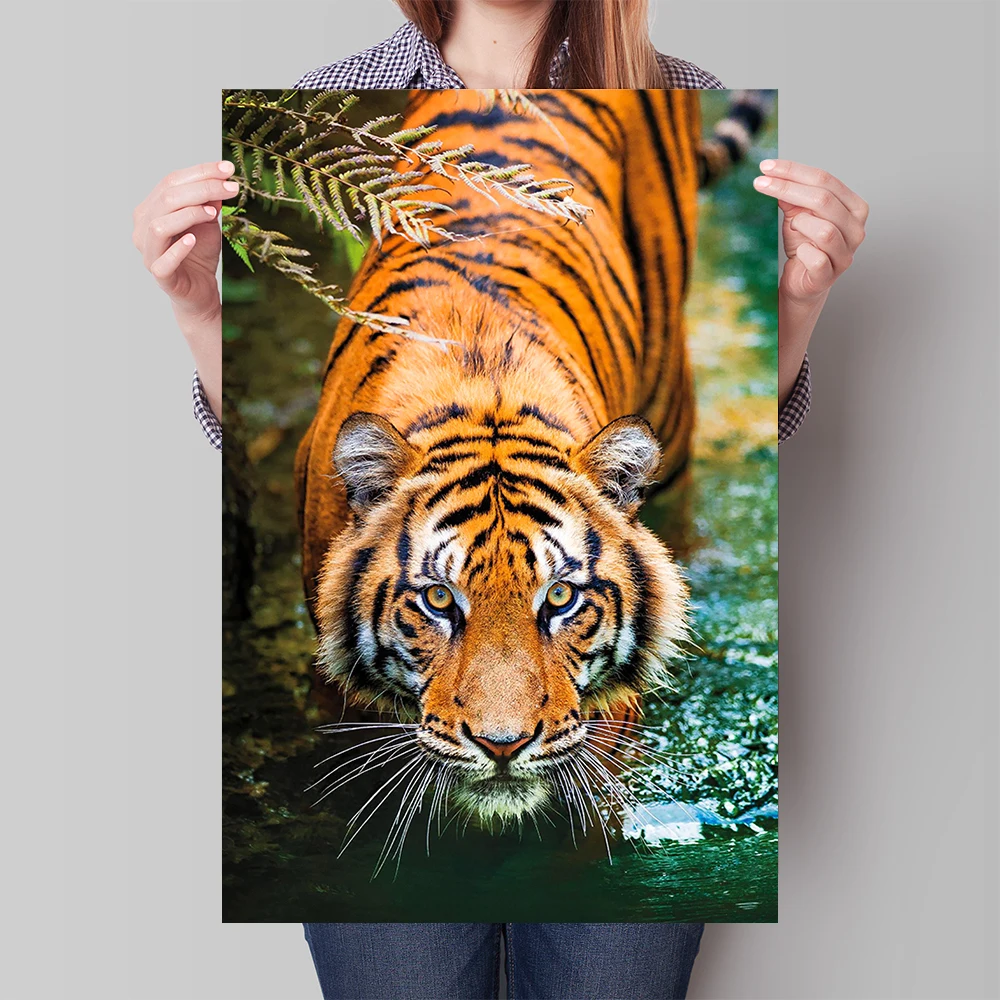 Animal Tiger Canvas…