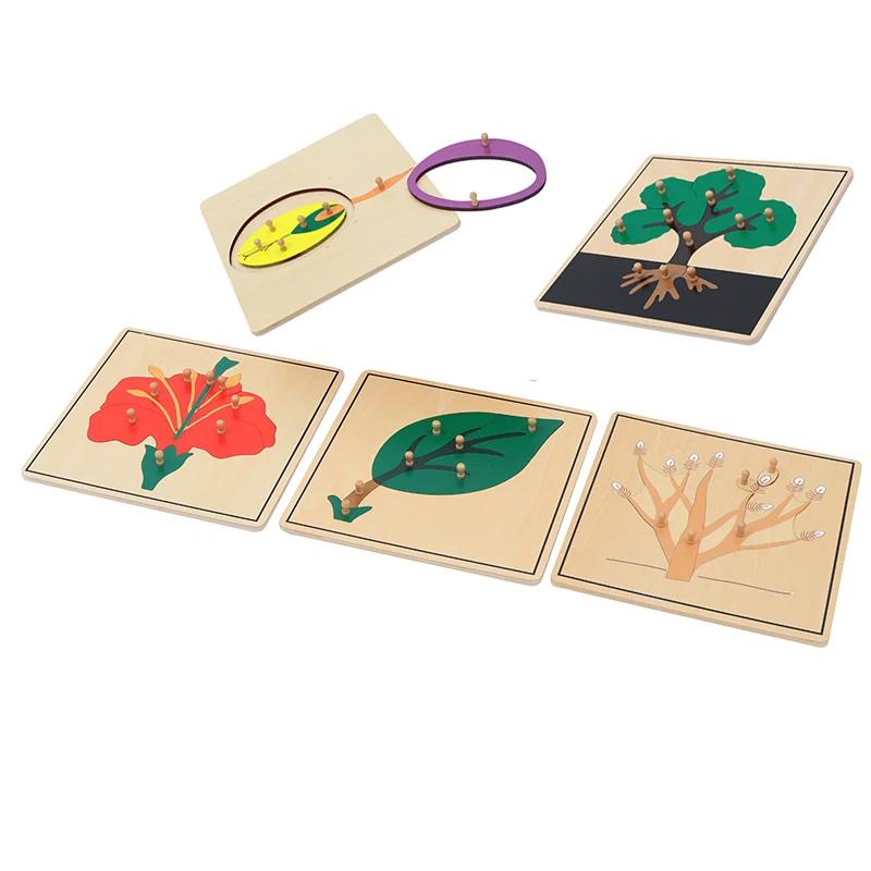 Montessori Educational Wooden Toys Botanical Cabinet Botany/ Animal/ Insect Puzzles for Children Biologic Science Early Learning