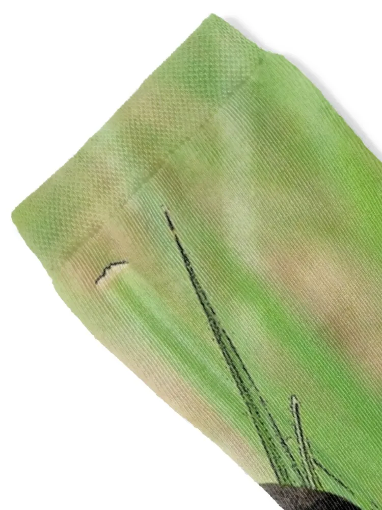 Whistling Duck Socks compression Climbing loose kawaii Mens Socks Women's