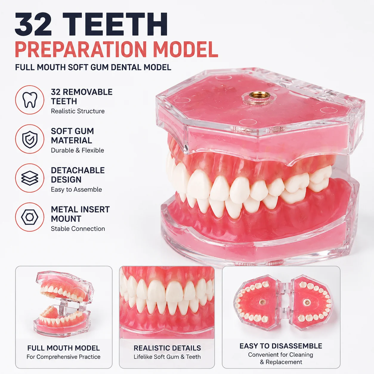 

32 Teeth Removable Mouth Model Soft Gum Simulation Teeth Display Model Flexible Teeth Practice Learning Tool