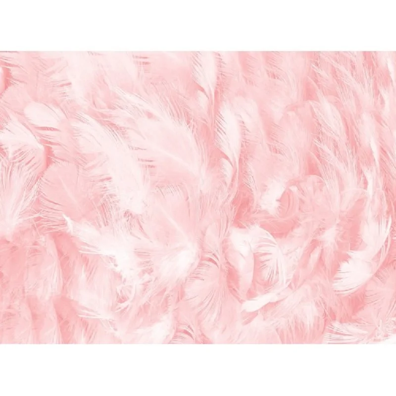 Nitree Photo Studio Photography Props Light Pink Vinyl  Background Feather Texture Backdrop for Baby Shower NI-20202800