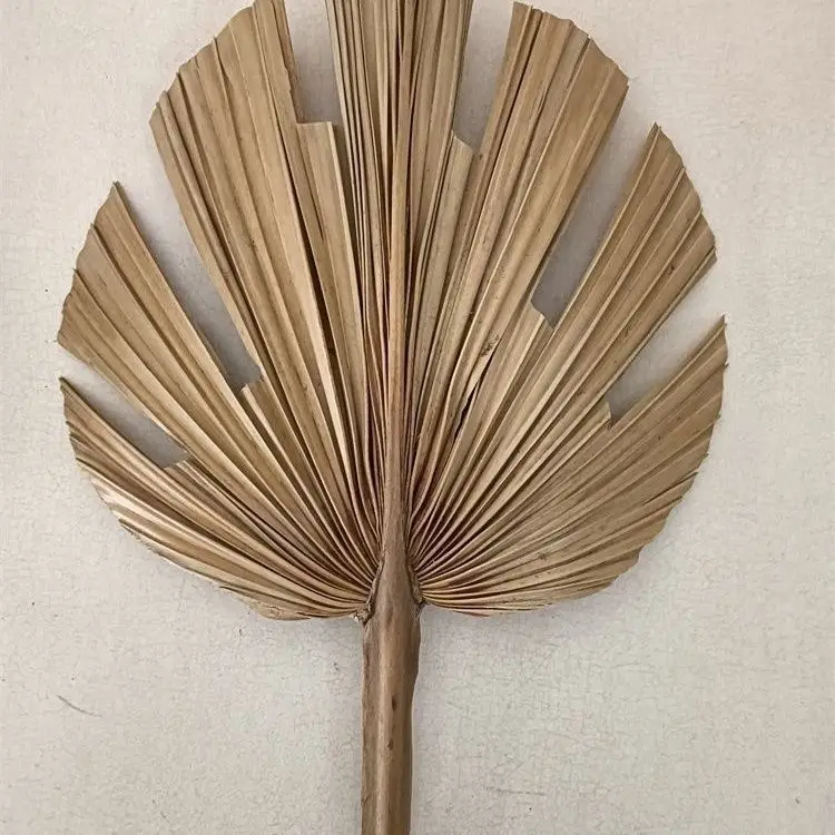 Levende Boeddha Jigong Schoenen Boeddha Kralen Kalebassen Fans Prestatie Rekwisieten Podiumaccessoires Internet Beroemdheid Sieraden Monniken Bedelaars