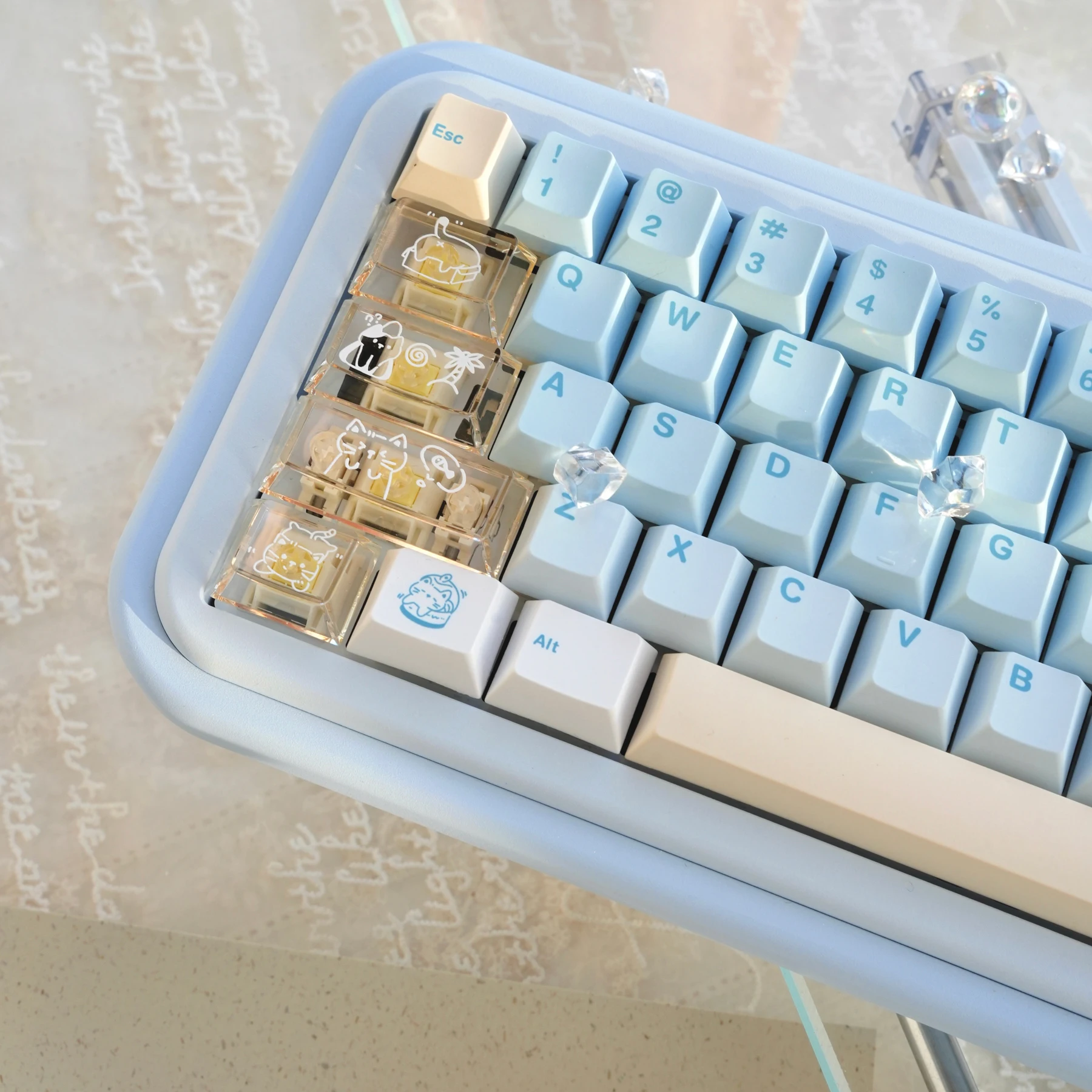 Summer kitten keycaps Original PBT five-sided sublimation + transparent PC customized mechanical keyboard keycaps Original - Image 4