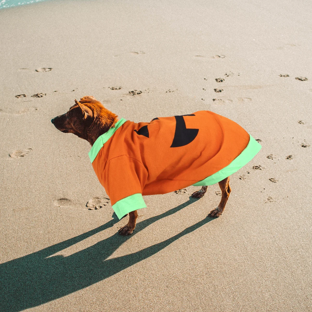 

Halloween Pumpkin Dog Outfit Breathable Comfortable Fabric Pet Skirt Dress for Outdoor Cosplay Halloween Pet Clothes