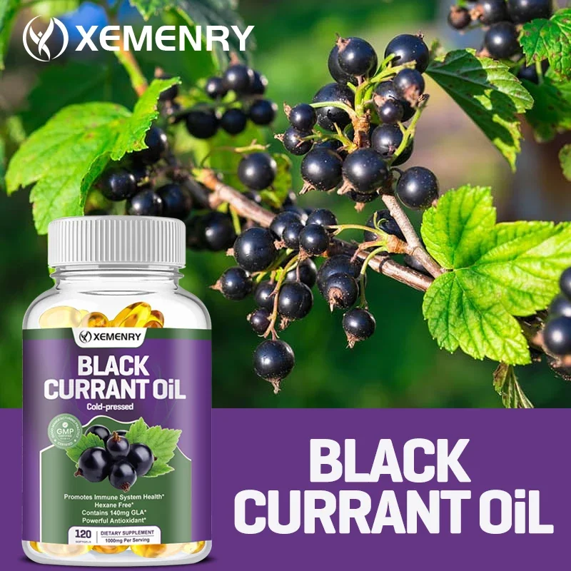 Black Currant Oil 1000 Mg - Cold Pressed Pure Black Currant Seed Oil - 140 Mg GLA Per Serving - Regulates Hormonal Balance