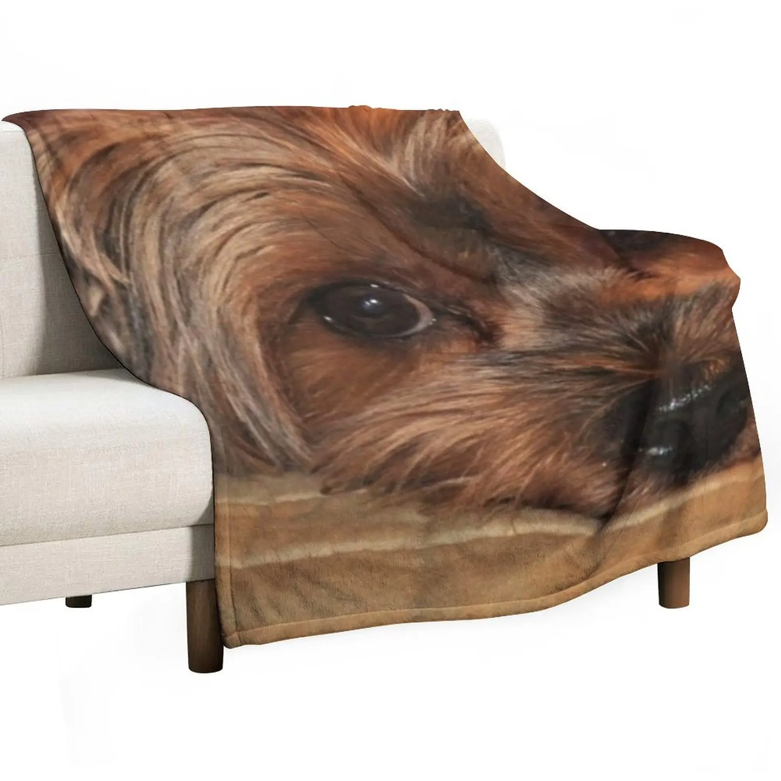 Cute Yorkshire Terrier Yorkie Puppy Dog Throw Blanket Fashion Sofas Soft Plush Plaid Blankets