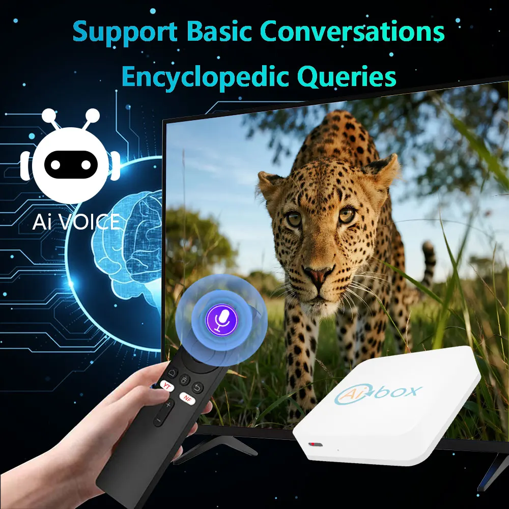 AI BOX Android9 Amlogic S905L3 Quad Core AV1 BT 2.4G e 5G Wifi 4K HD Set Top Box Media Player