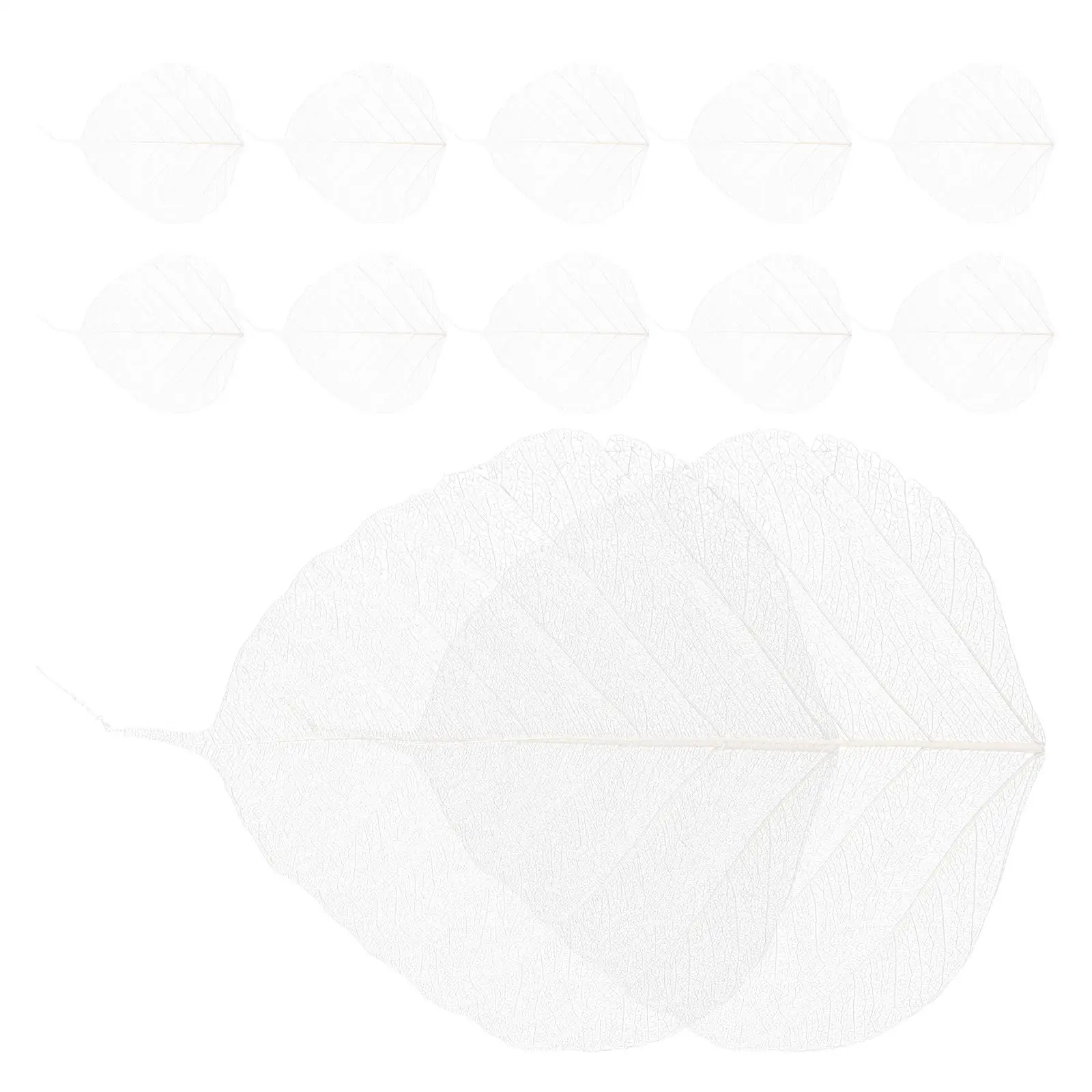 

20 Pcs Leaf Vein Bookmark Materials DIY Craft Project Supplies Tree Leaves Specimen Natural handmade Rubber Student