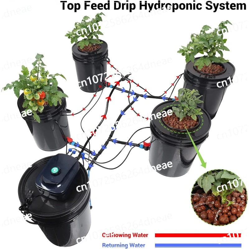 Top Feed Drip Hydroponics Systems, 5 Gallon Hydroponics Growing System Kit (4 Bucket + Reservoir + Drip Kit)