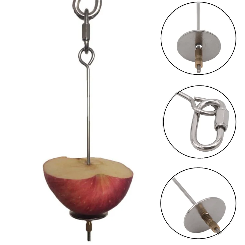 Pincho de juguete para pájaros, soporte colgante de lanza de fruta, mascota, loro, periquito, Animal pequeño, acero inoxidable, tenedor de juguete