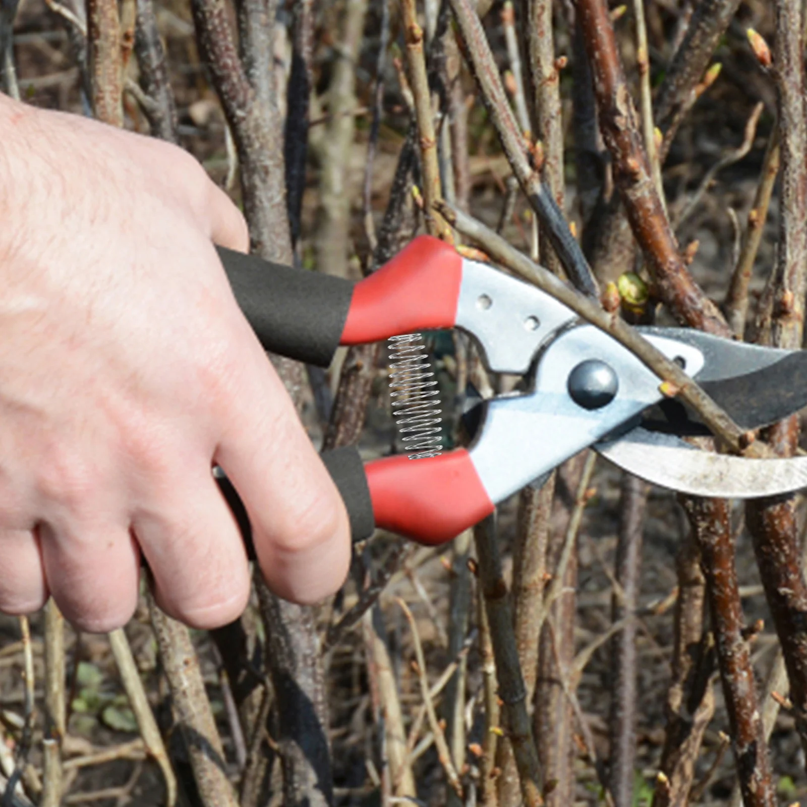 

12pcs Thinning Shears Spring Stainless Steel Replacement Garden Clippers Pruning Tool Trimming Parts Precision Hand Pruner