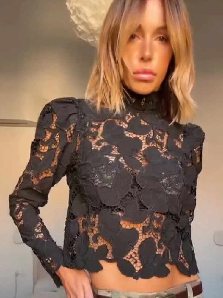 Stylish Black High Neck Floral Cutout Lace Cropped Blouse Long Sleeve Slim Fit Top Women Elegant Party Date Street Holiday Wear