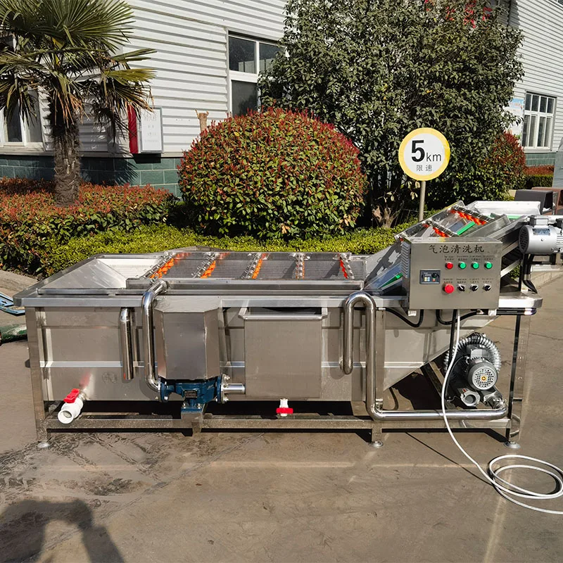 

Customized Business Automatic air Bubble Washing Vegetable Fruit Cleaning Machine