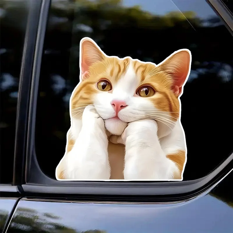 13x14cm Cute Cartoon Cat Thinking Life Car Decals, Waterproof Vinyl Sticker for Car Windows, Laptops, Trucks, Bumper, Wood