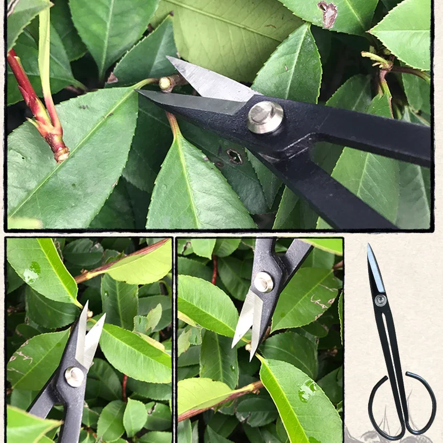 Professional Steel Long Handle Bonsai Scissors Plant Branch Shears Gardening Pruning Bonsai Scissors Flowers Plant Grafting Tool