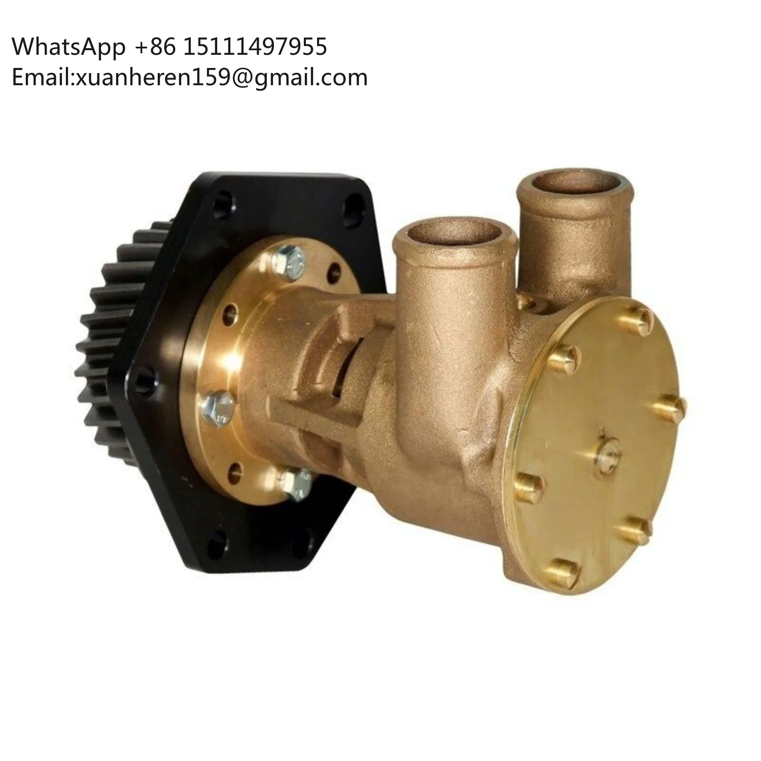 

New Sea Water Pump 29630-1001 29640-1101-1 for Engine Vehicle Parts High Quality