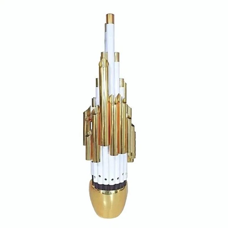 Amplified Sheng professional performance grade famous musical instrument