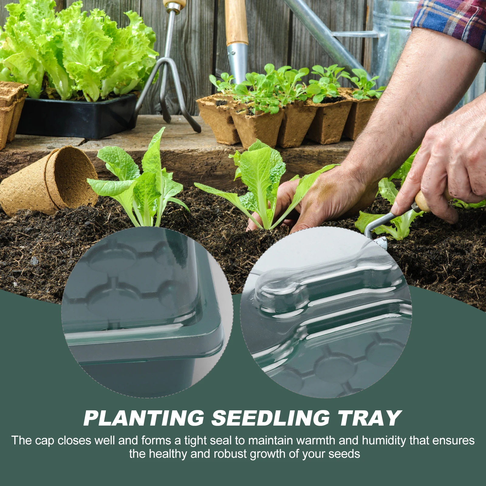 

1set Breathable Cover Seedling Tray Germination Starter Plastic Garden Microgreens Growing Transparent Lid Durable Trays For