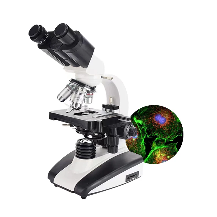 

1000x Binocular Trinocular Laboratory Optical XSZ-107BN Biological Microscope