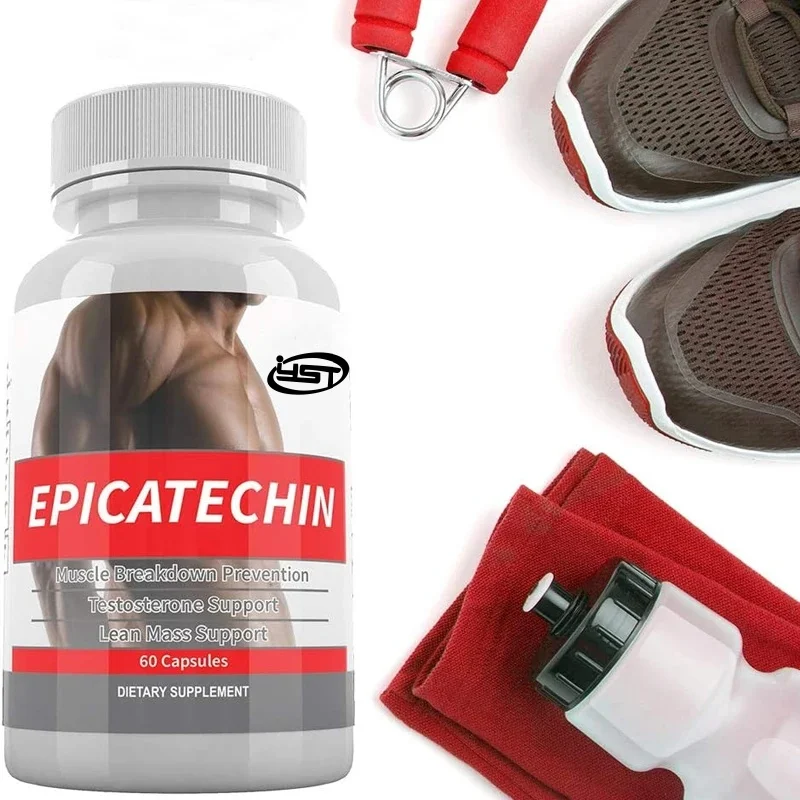 EPICATECHIN - Maximizing Muscle Growth - Increasing Protein Synthesis, Gain, and Lean Muscle