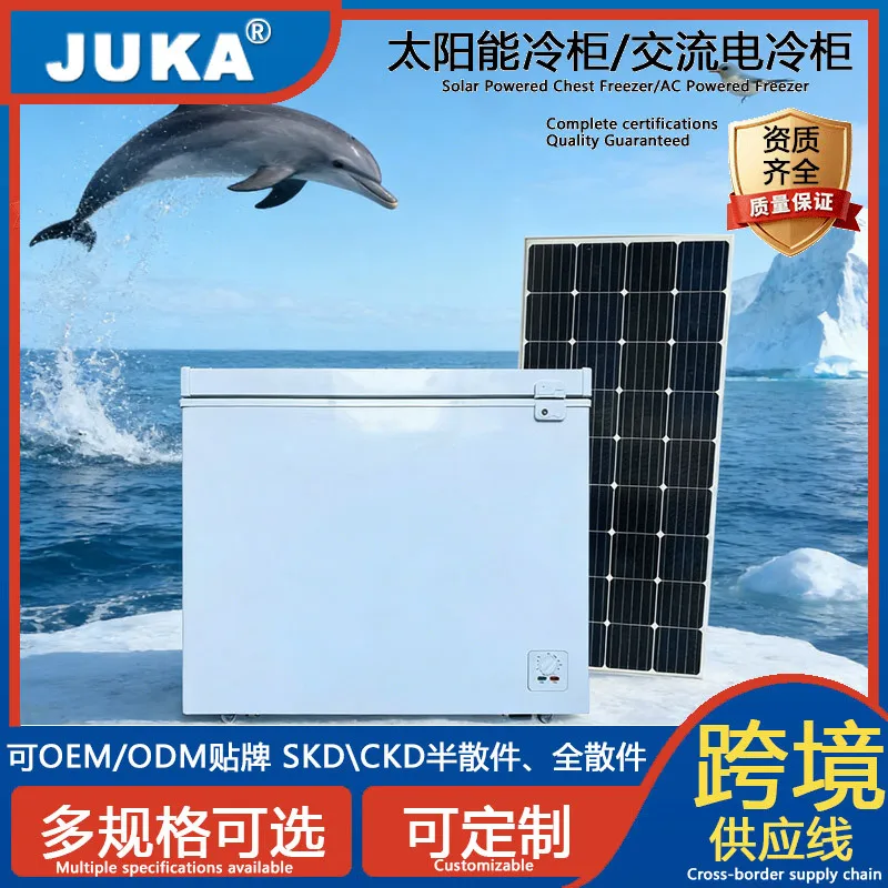 

DC12v/24v 110 mm Thick Foaming Freezer 88L for Ice Cream