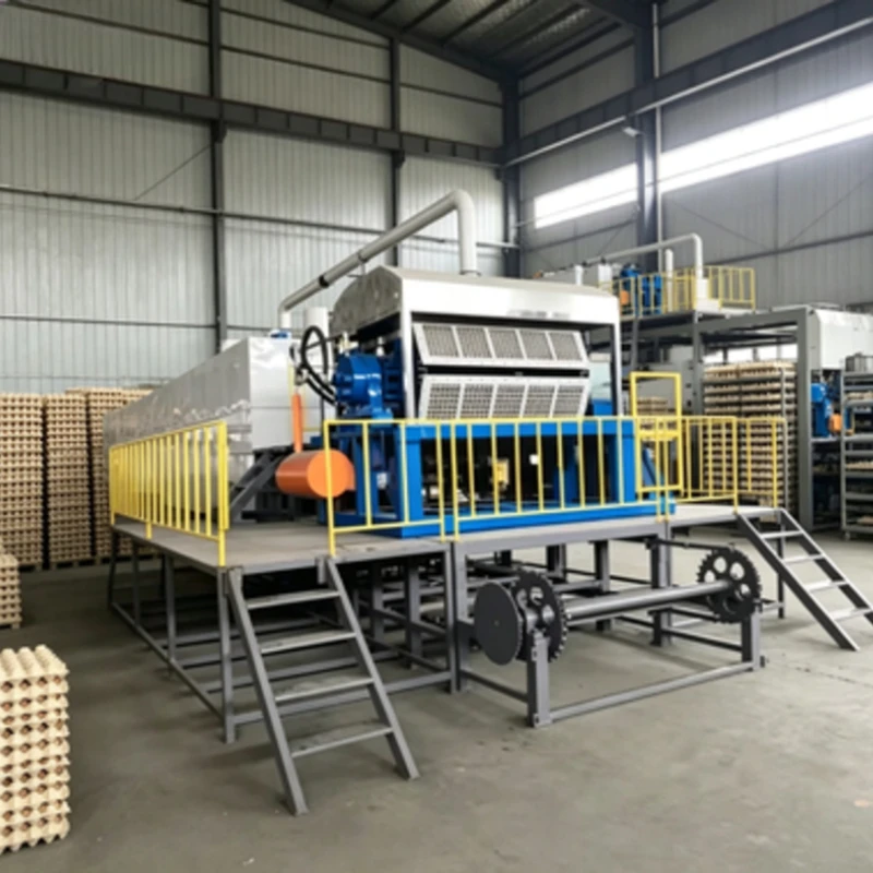 Full Automatic Egg Tray Machines for Making Egg Trays with Dryer for Manufactures