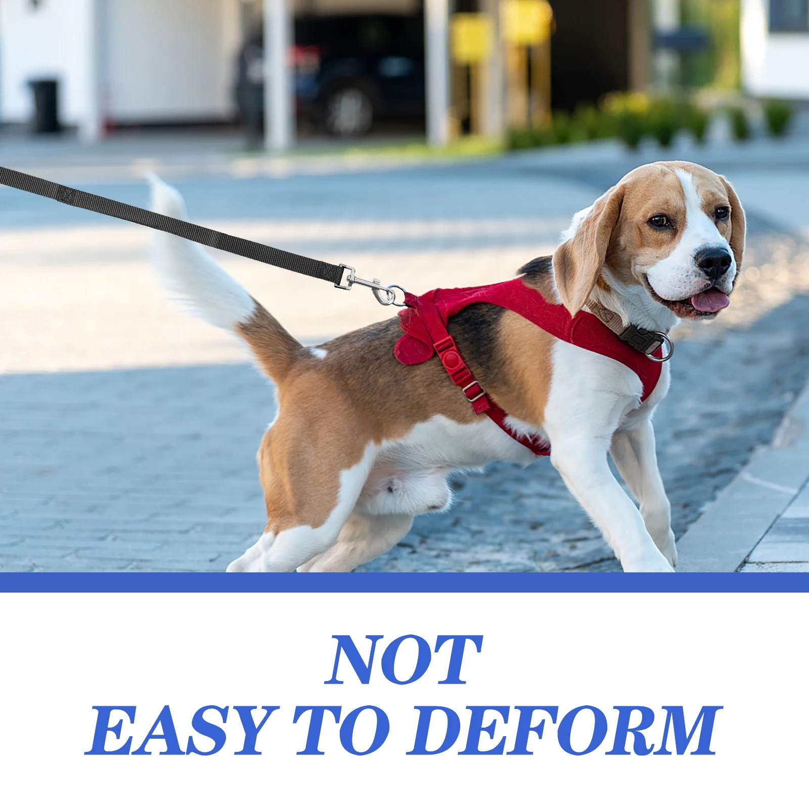 

Sturdy Nylon Pet Traction Rope Dog Leash for Walking Running Training Lightweight Durable Comfortable Portable for All Sizes