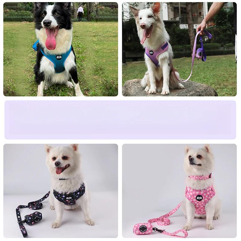 

Adjustable Printed Dog Collar And Harness Set with Matching Design Pet Traction Leash