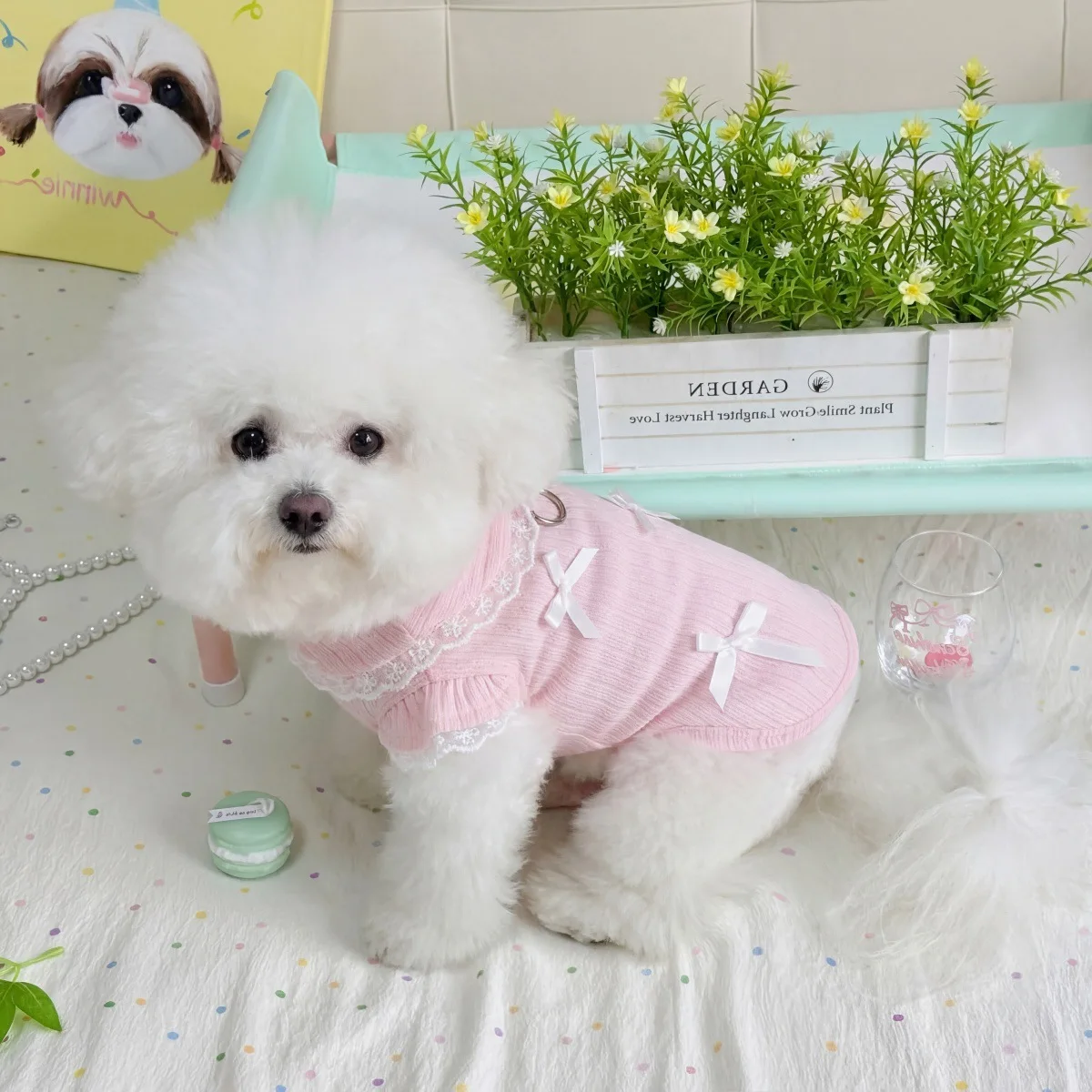 เสื้อกั๊กผูกโบว์ลายลูกไม้สำหรั - Lace Teddy Lingerie บทวิจารณ์และราคา