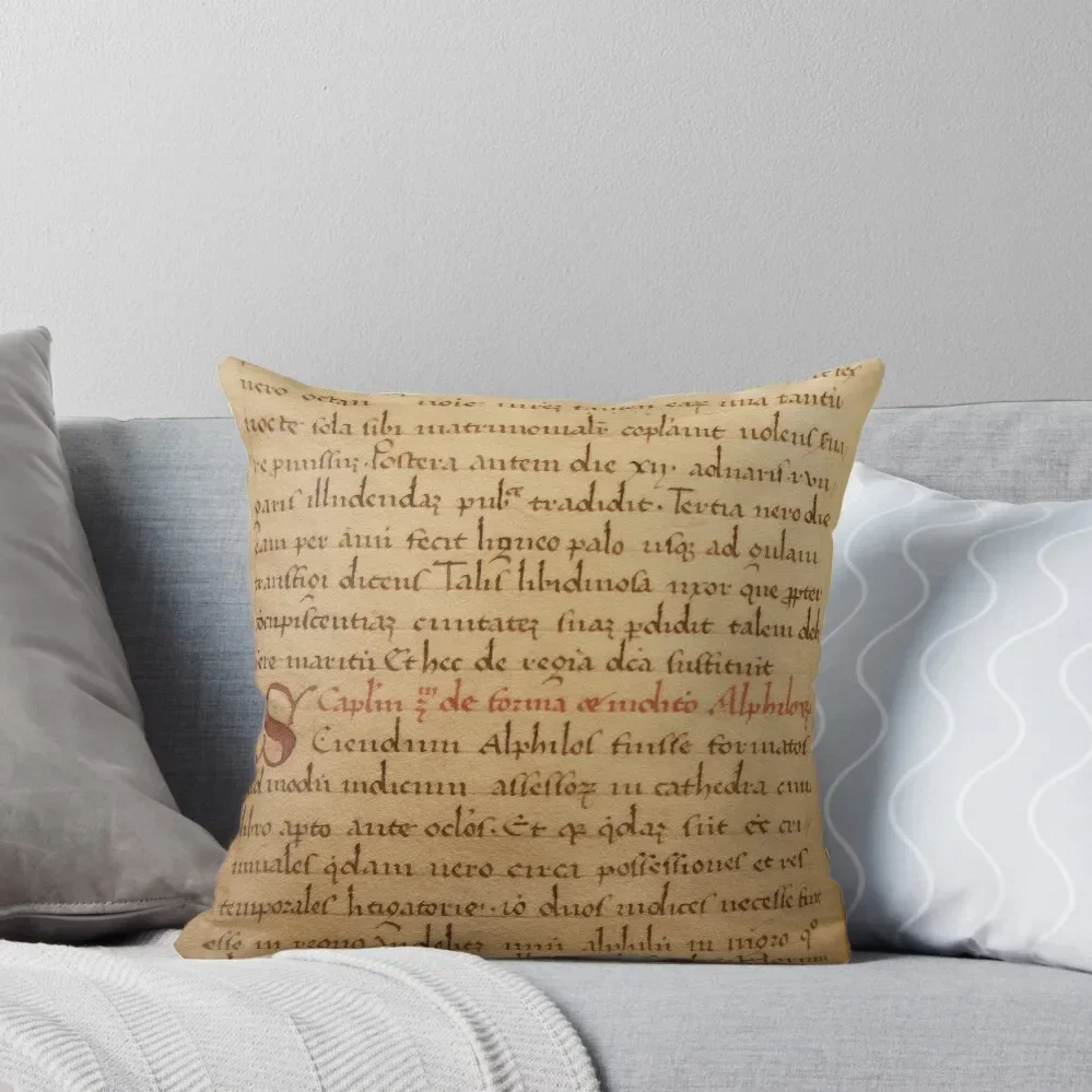 Medieval Manuscript Throw Pillow Pillow Cases Decorative Cushion Cover Set Pillow