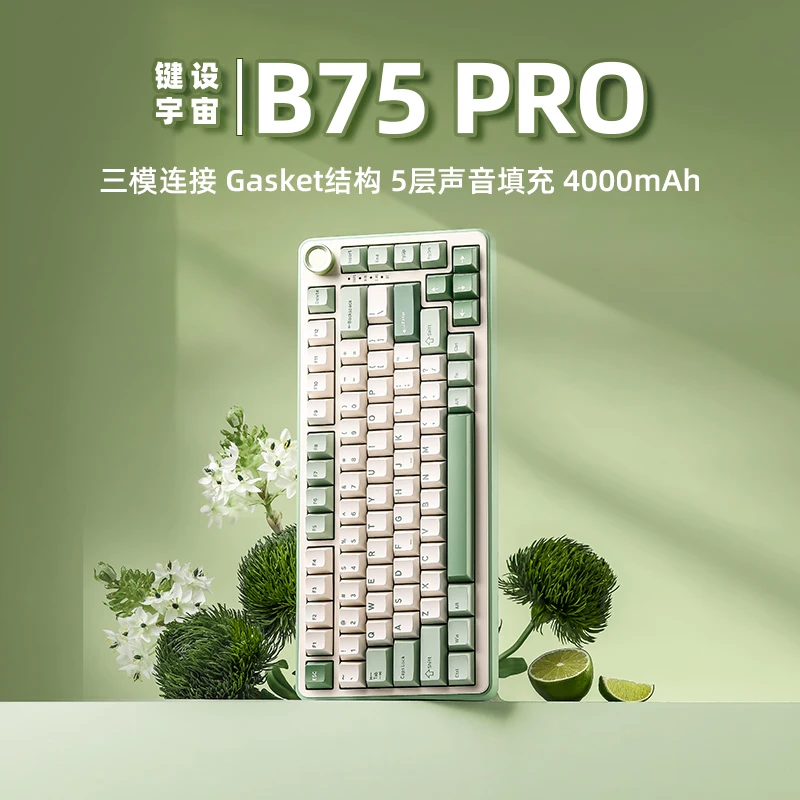 

B75pro Mechanical Keyboard 75%layout Customized Tri-mode Hot Swappble Gasket Structure RGB Ergonomics Gaming Mechanical Keyboard
