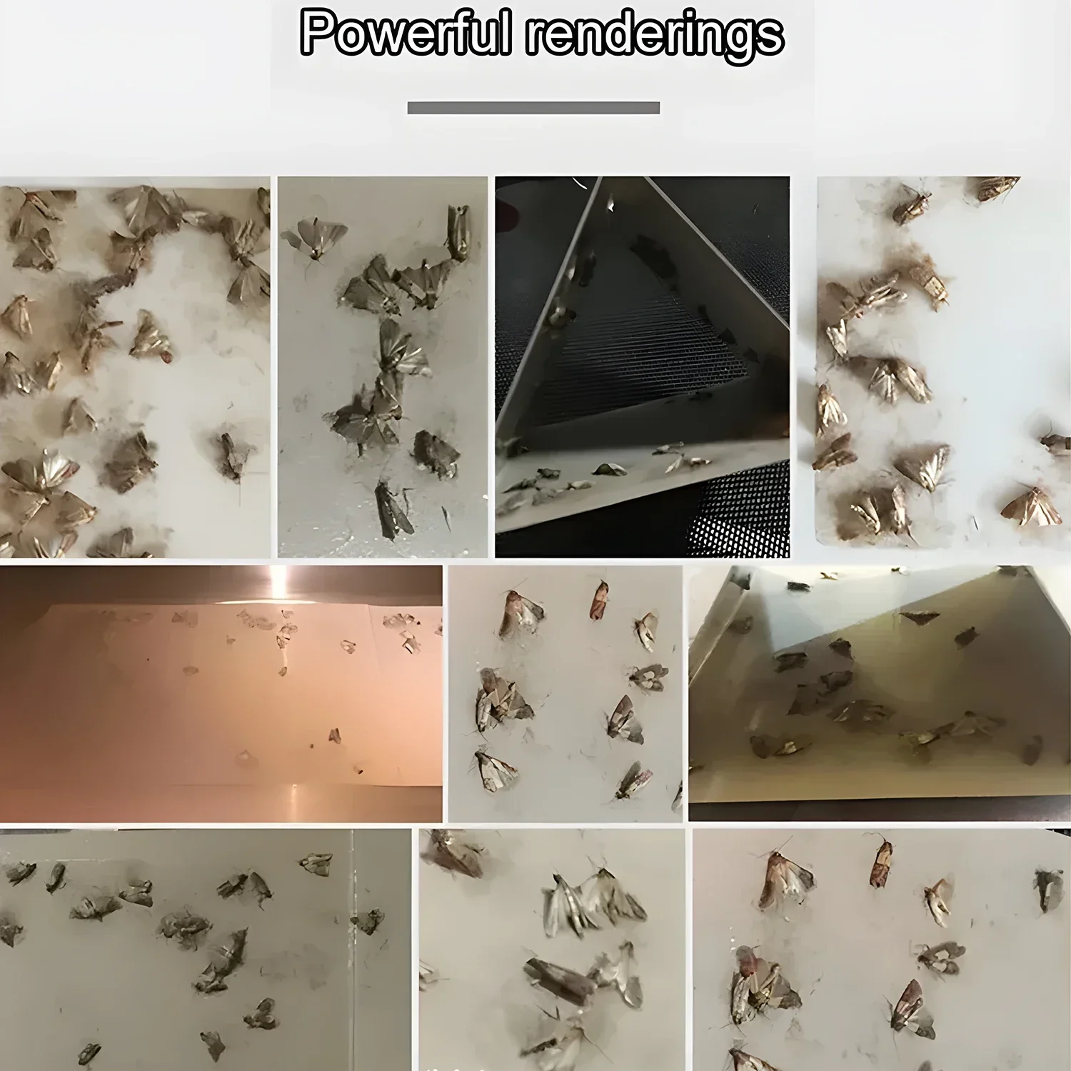 Klebrige Mottenfallen Insektenfänger Fliegenfalle Klebefalle Aufkleberplatte für Garten, Speisekammer, Lebensmittel und Restaurants – Detail 12