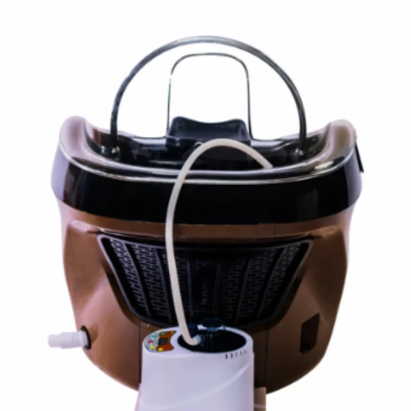 Head Therapy Spa Health Care Device Hair Salon Smart Spa Pavilion of Regimen Beauty Salon Shampoo Basin