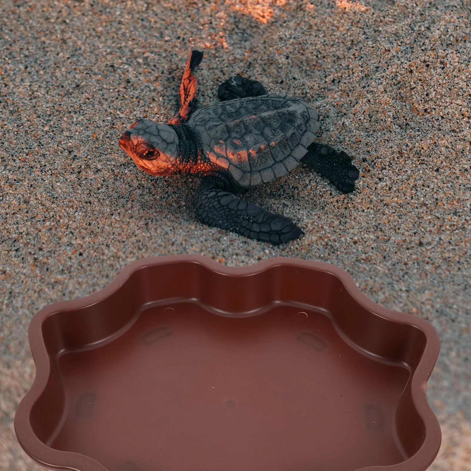 

Reptile Water Bowl Portable Stable Base Feeding Dish Turtle Lizard Food Bowl Reptile Tank Supplies Leopard Gecko Accessories