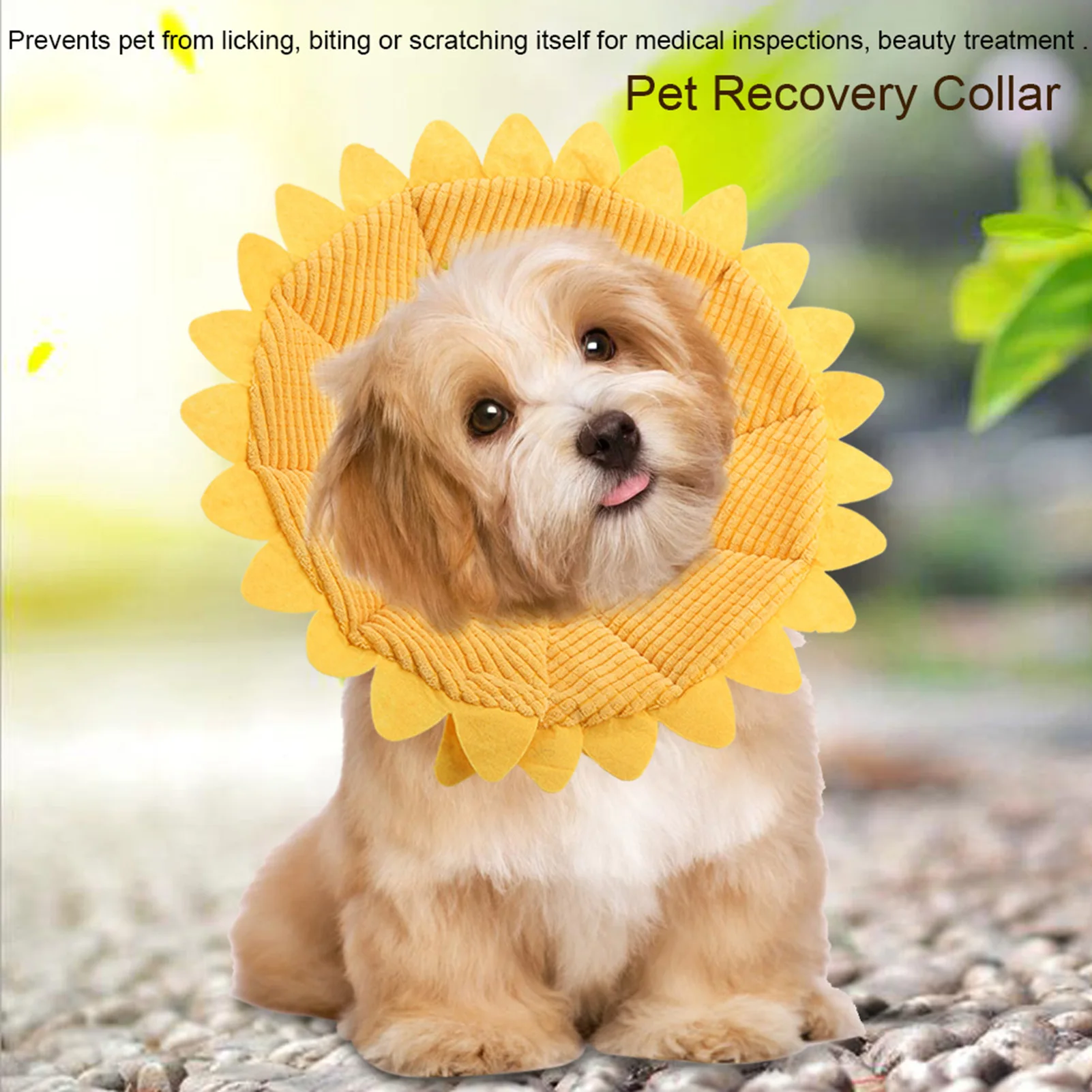 Pet Cat Collars Anti-Bite Surgery Anti-Lick Wound Healing Protection Flower Shaped Cat Recovery Collar Elizabethan Cats Collar