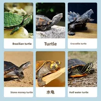 Nai chong Freeze-Dried Freshwater Fish Snacks - All-Natural Treats for Turtles, Cats, Dogs & Small Pets - Nutritional Supplement 6