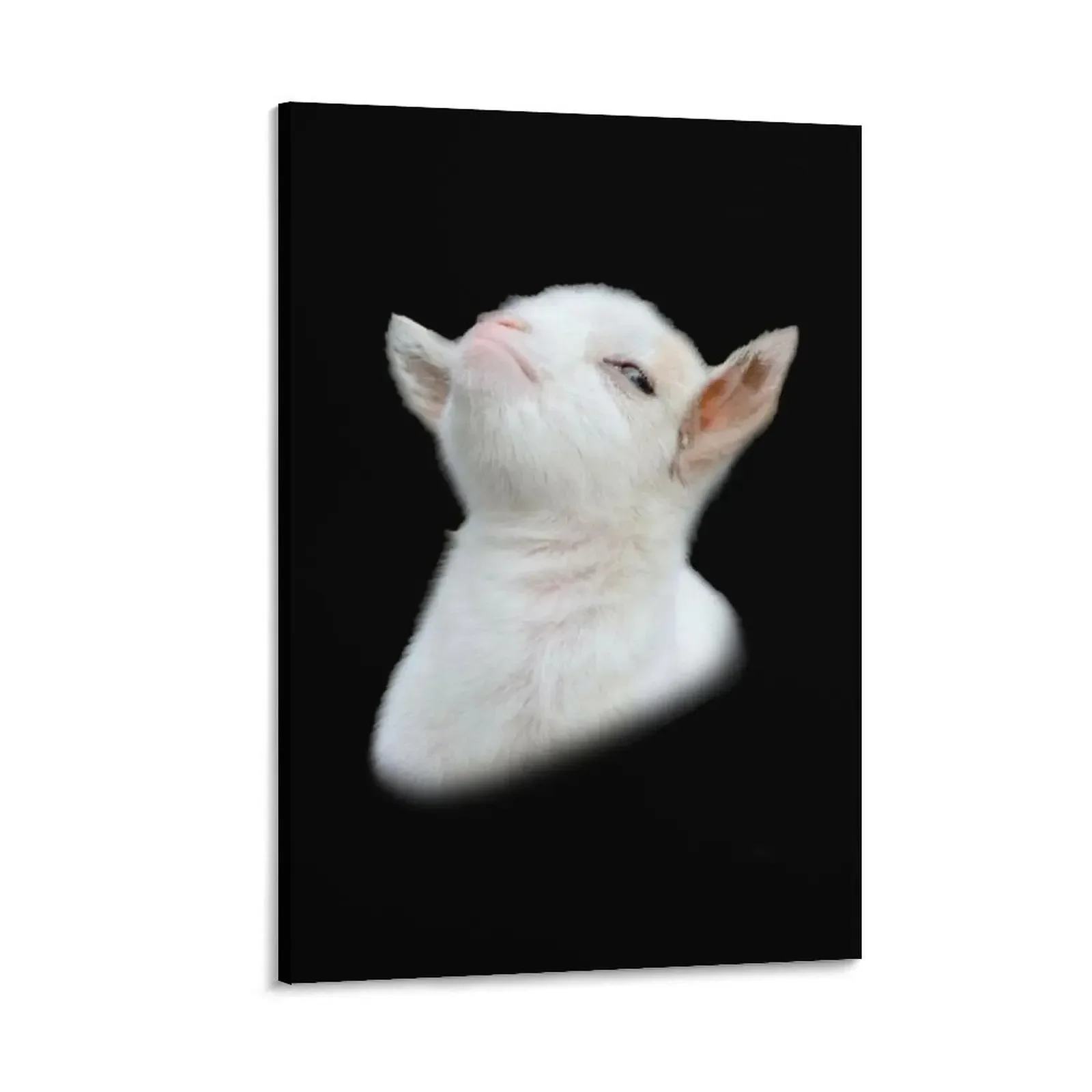 

Smug goat Canvas Painting wall decoration painting Decoration bedroom bedrooms decorations