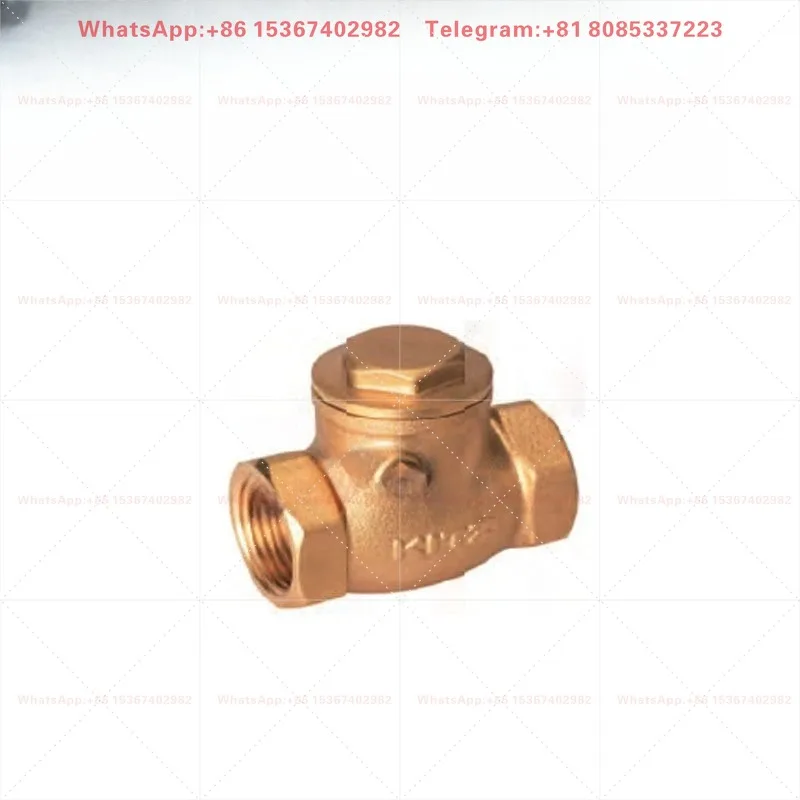 Brass check valve PN16RDZ forged swing check valve 6-point water stop valve